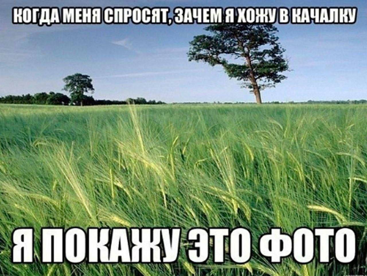 КОГДА МЕНЯ СПРОСЯТ, ЗАЧЕМ Я ХОЖУ В КАЧАЛКУ Я ПОКАЖУ ЭТО ФОТО