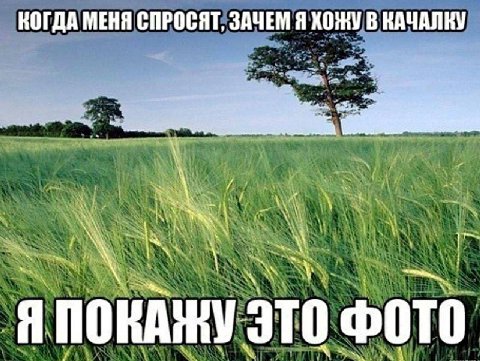 КОГДА МЕНЯ СПРОСЯТ, ЗАЧЕМ Я ХОЖУ В КАЧАЛКУ Я ПОКАЖУ ЭТО ФОТО