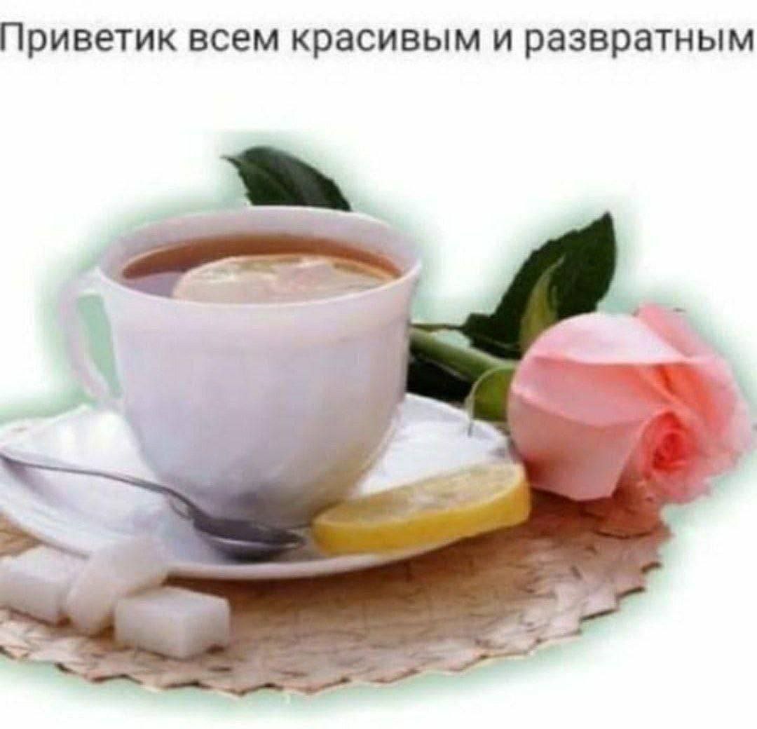 Приветик всем красивым и развратным