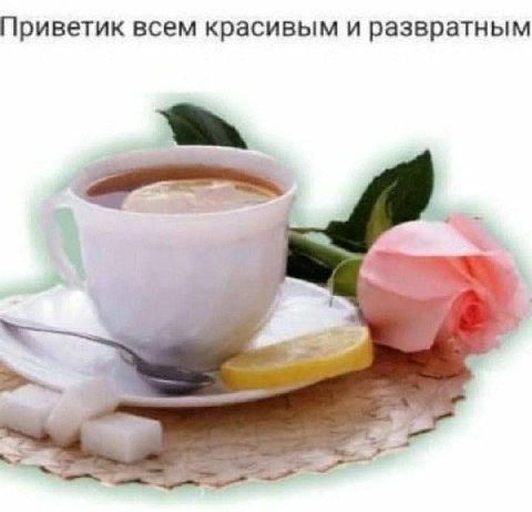 Приветик всем красивым и развратным