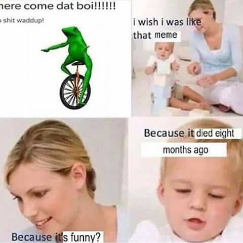 1ere come dat shit waddup! i wish i was that meme died months ago Веса funny?