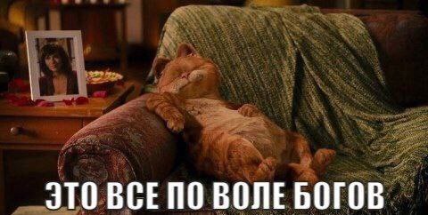 ЭТО ВСЕПО ВОЛЕ БОГОВ