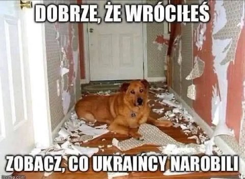 А me in и 4 4 UKRAINC' Riel