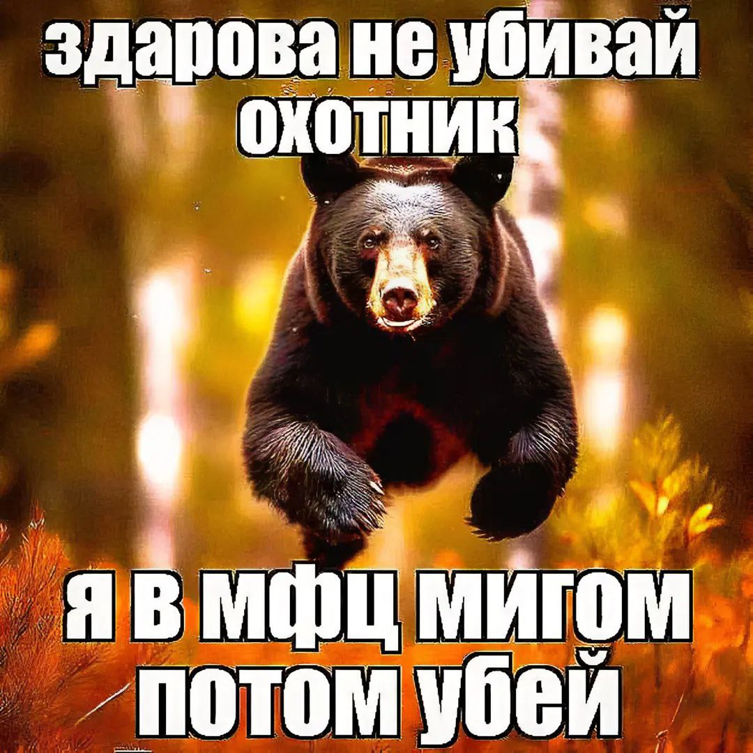 здарова не убивай охотник мфц МИГОМ убей