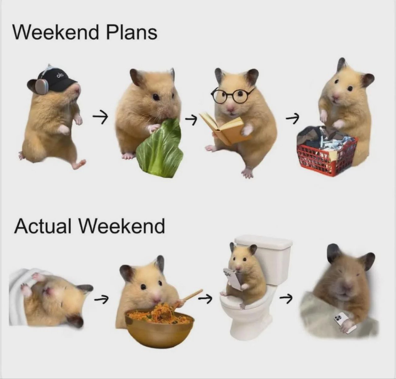 Weekend Plans Actual Weekend
