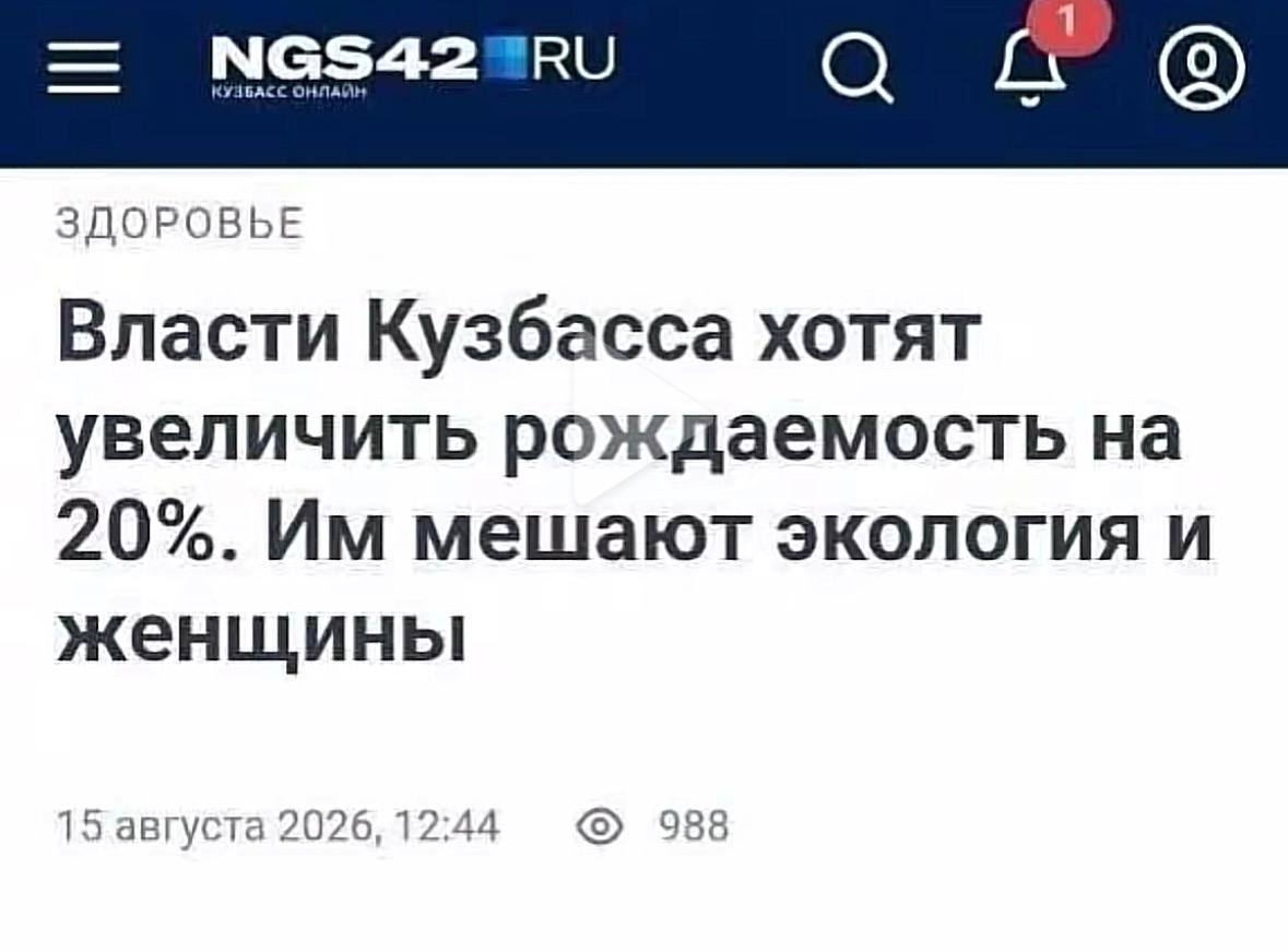 ЗДОРОВЬЕ Власти Кузбасса хотят увеличить рождаемость на 20%. мешают экология и женщины 15 августа 2026, 12:44 988
