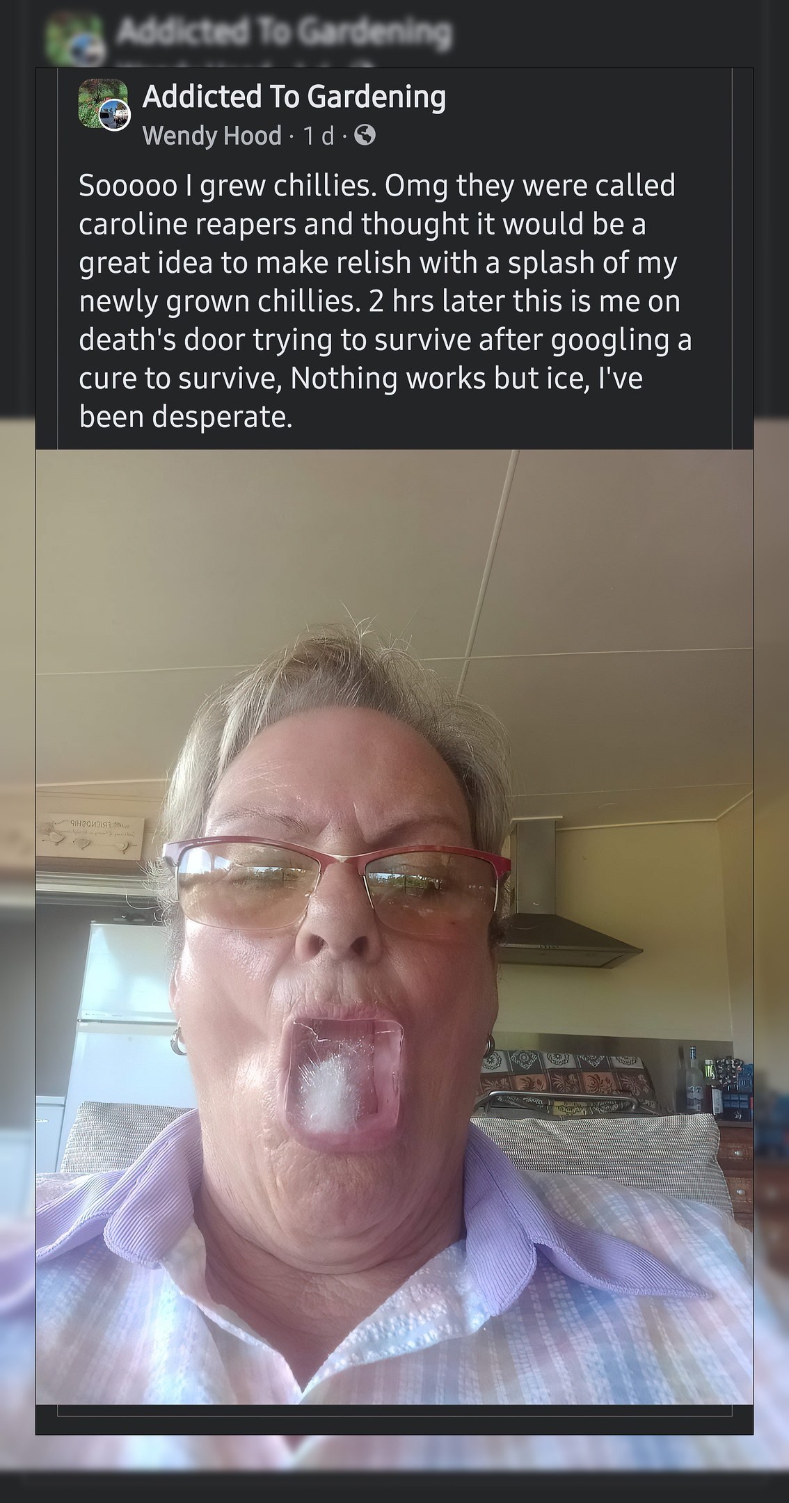 О Addicted To Gardening 500000 grew chillies. Omg they were called caroline reapers and thought it would be a great idea to make relish with a splash of my newly grown chillies. 2 hrs later this is me