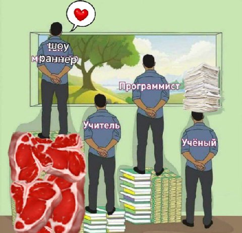 шоу Mpa Программист Учитель Учёный