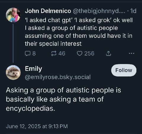 John Delmenico @thebigjohnnyd.... азкеа chat gpt’ asked grok’ well asked a group of autistic people assuming one of them would have it in their special interest 2 46 256 Emily @emilyrose.bsky.social A