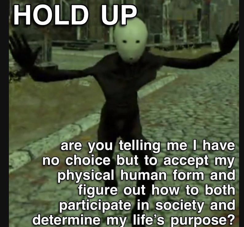 HOLD UP are you telling me have no choice but to accept my physical human form and figure out how to both participate in society and determine my life’s purpose?