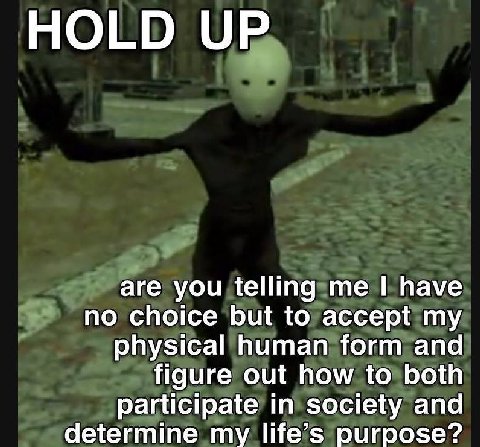 HOLD UP are you telling me have no choice but to accept my physical human form and figure out how to both participate in society and determine my life’s purpose?