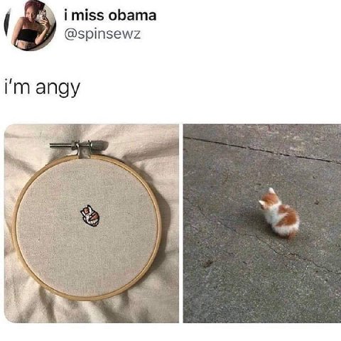 imiss obama @spinsewz angy