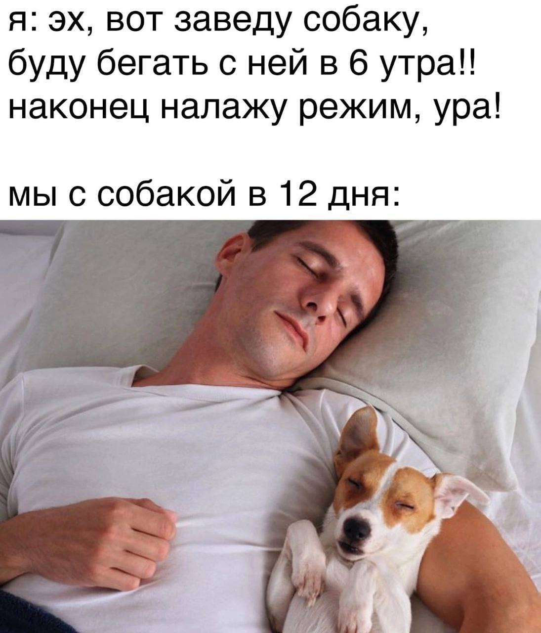 я: вот заведу собаку, буду бегать с ней в 6 наконец налажу режим, ура! мы с собакой в 12 дня: