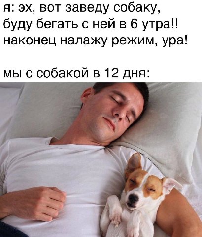 я: вот заведу собаку, буду бегать с ней в 6 наконец налажу режим, ура! мы с собакой в 12 дня: