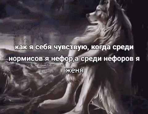 А себ Я как я себя чувствую, когда среди а у да сред нормисов я среди нефоров я ‚женя