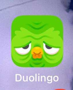 ingo