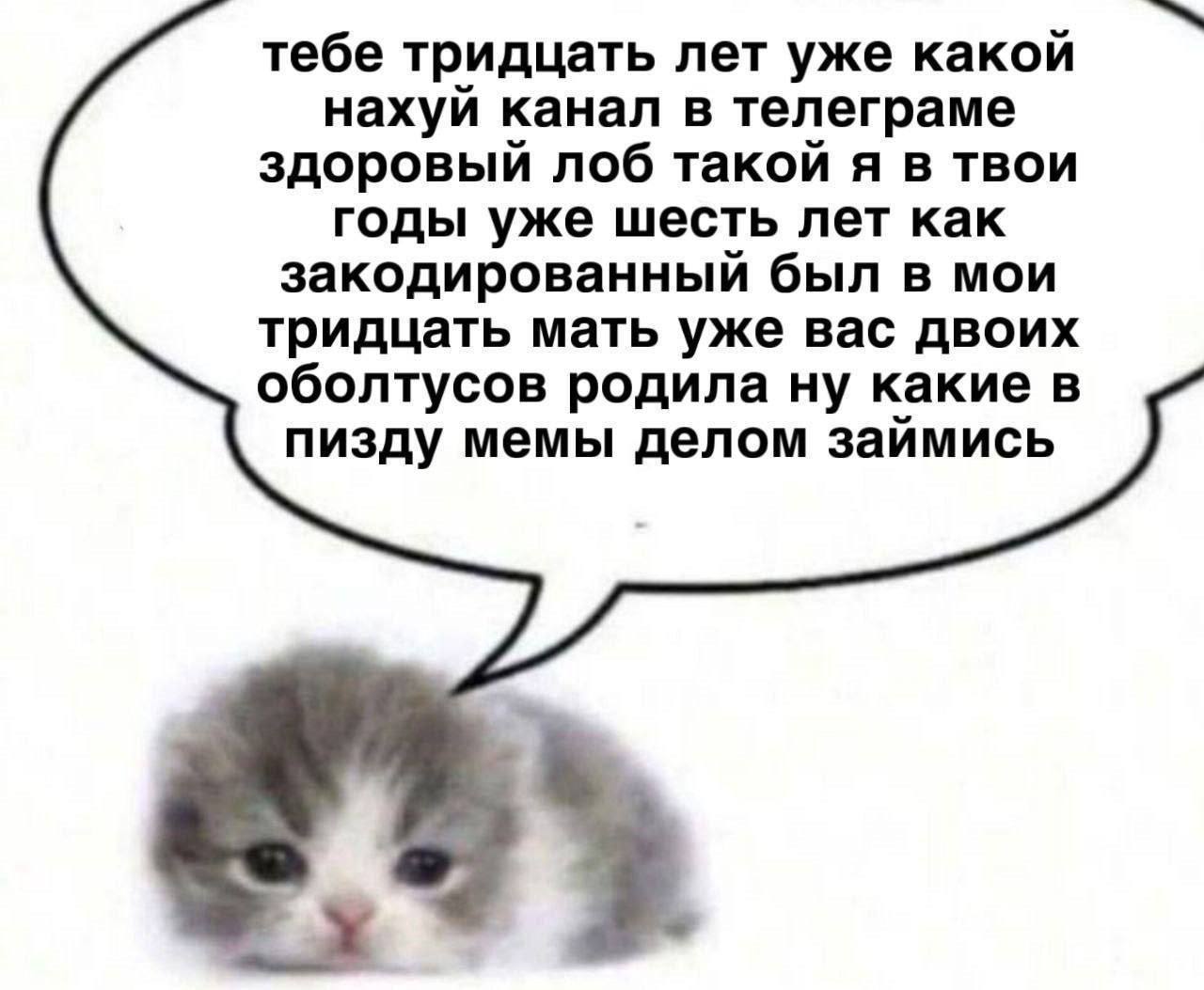 тебе тридцать лет уже какой нахуй канал в телеграме здоровый лоб такой я в твои годы уже шесть лет как закодированный был в мои тридцать мать уже вас двоих оболтусов родила ну какие в пизду мемы делом