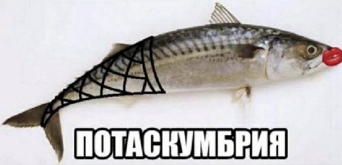 sic a
