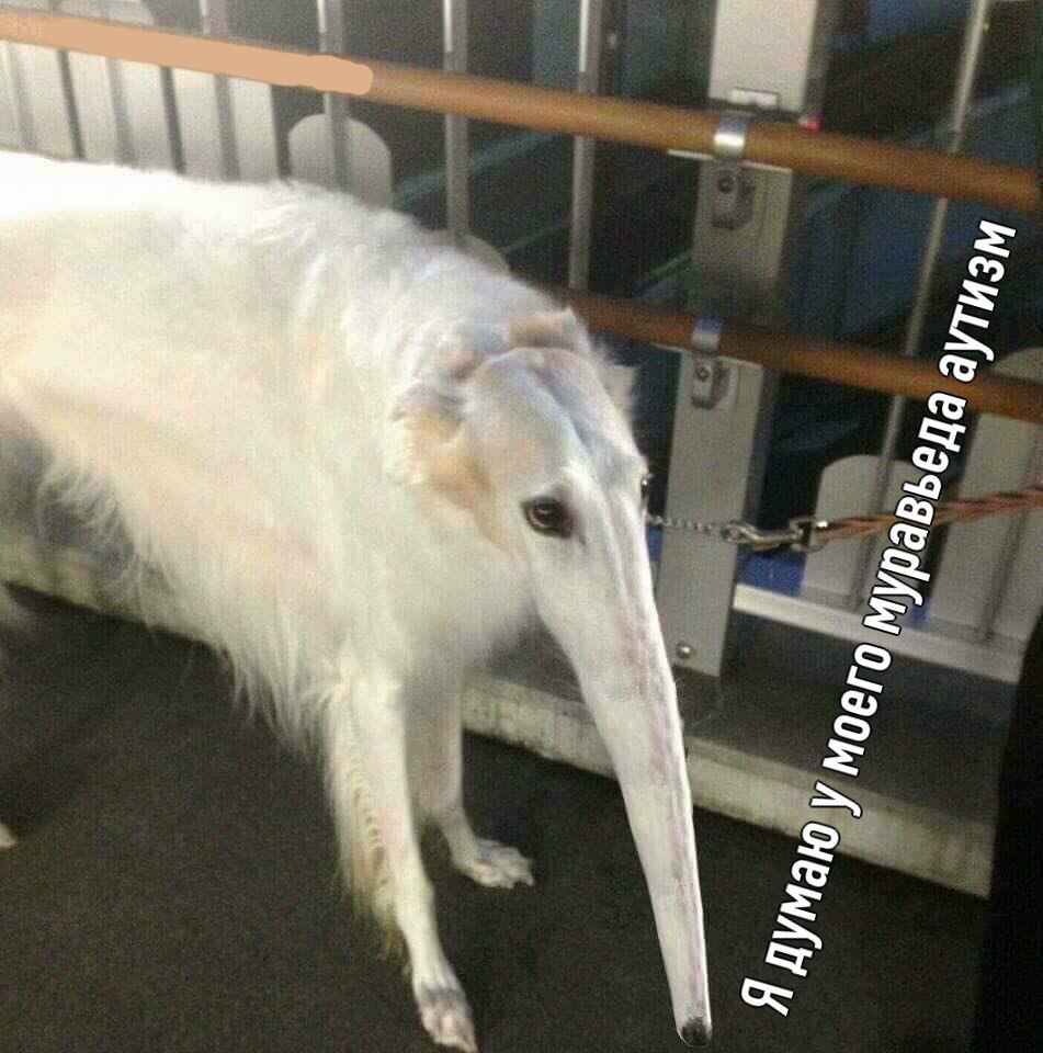 1 4 2