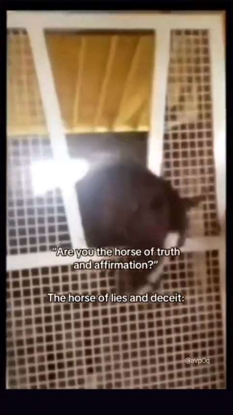 -- > aise bev ie horse of truth шей norsevoflies'and deceit: Ат обине Ногсе of я НЕРЕЕНЕЕЯ ese The horse of lies and десей: > % РАРЕВНЕЕЕРЕРЫ itt it РЕРЕРЕВЕРЕЕЕЕРЕЕНЕ ЕРАРРРЕРААЗЕСЕНЕЕНЯЯ РЕД Thejhor