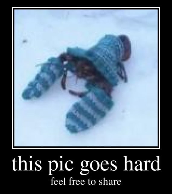 this pic goes hard feel free to share