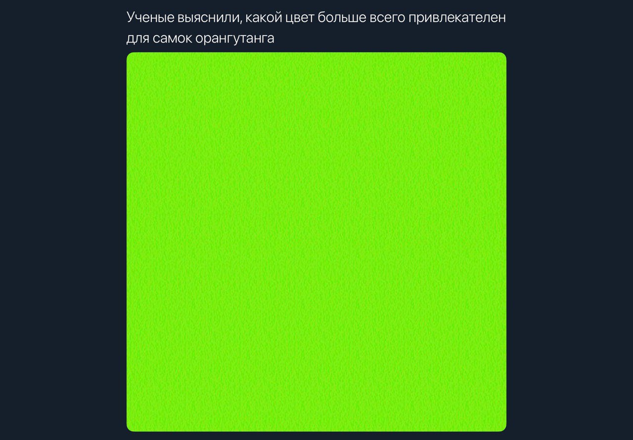 Ученые выяснили, какой цвет больше всего привлекателен для самок орангутанга