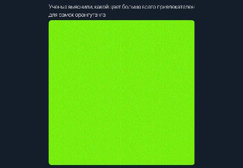 Ученые выяснили, какой цвет больше всего привлекателен для самок орангутанга