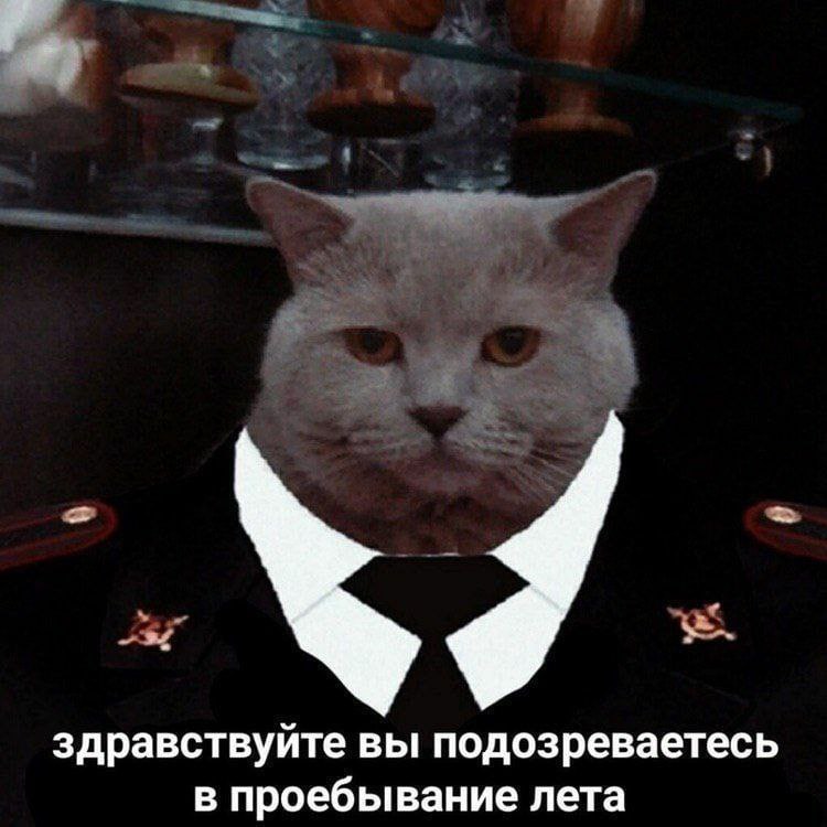 здравствуйте вы подозреваетесь в проебывание лета