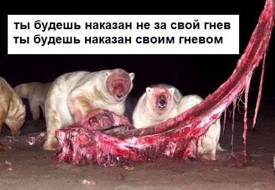 ты будешь наказан не за свой гнев ты будешь наказан своим гневом
