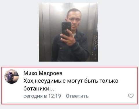 Михо Мадроев могут быть только ботаники... сегодня в 12:19 Ответить