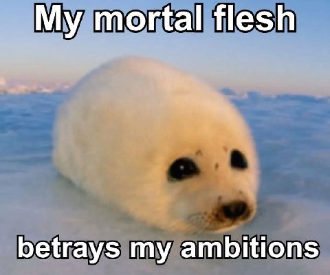 у mortal flesh betrays my ambitions
