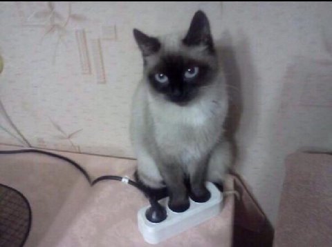 прощяйте