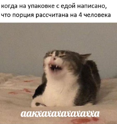 когда на упаковке седой написано, что порция рассчитана на 4 человека