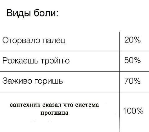 Виды боли: Оторвало палец 20% Рожаешь тройню 50% Заживо горишь 10% сантехник сказал что система прогнила 100%
