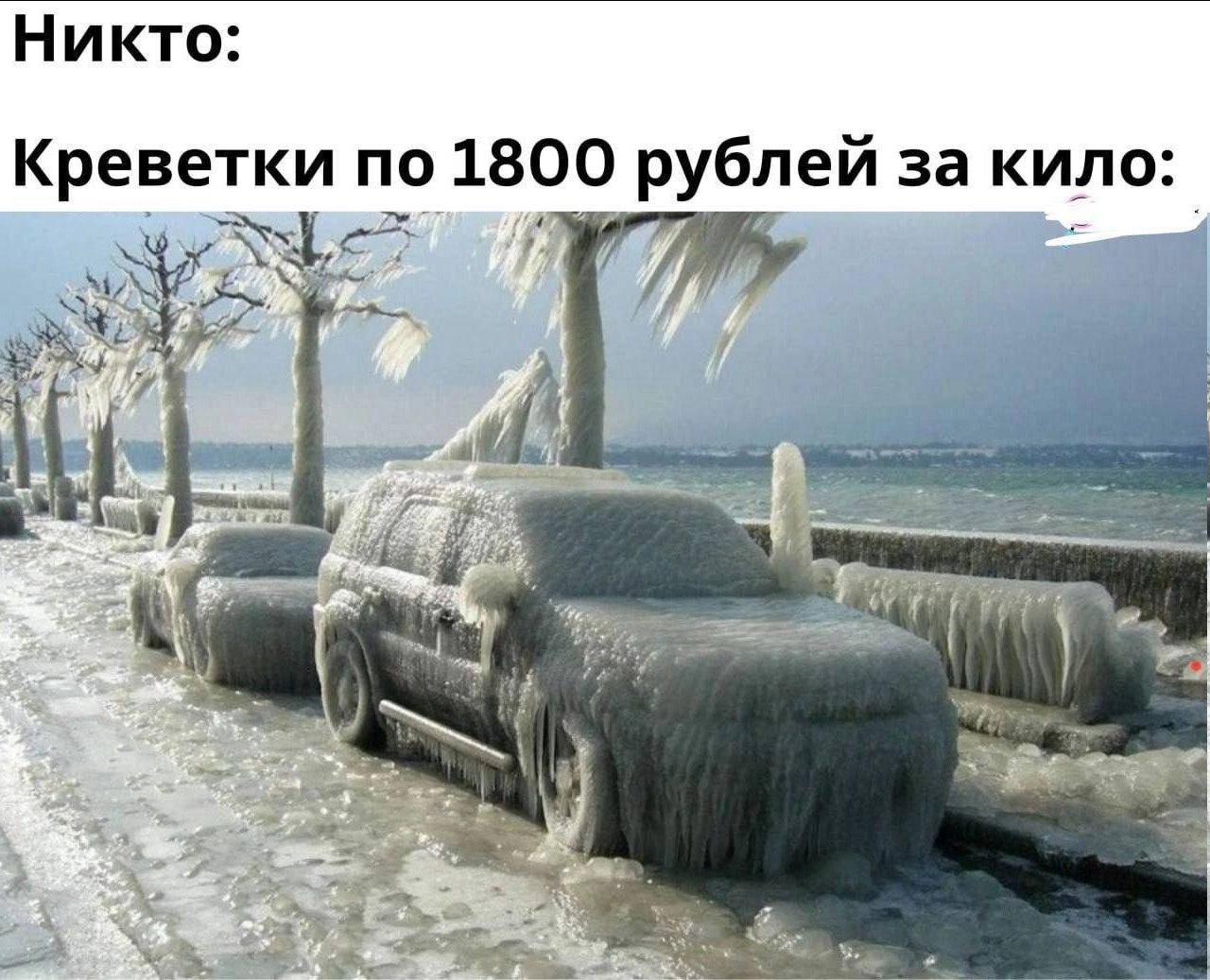 Никто Креветки по 1800 рублей за кило: 4 я