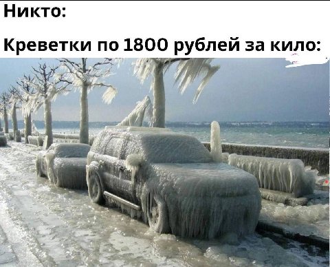 Никто Креветки по 1800 рублей за кило: 4 я