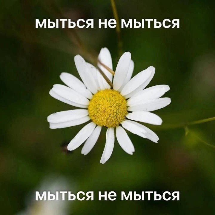 МЫТЬСЯ Не МЫТЬСЯ МЫТЬСЯ Не МЫТЬСЯ