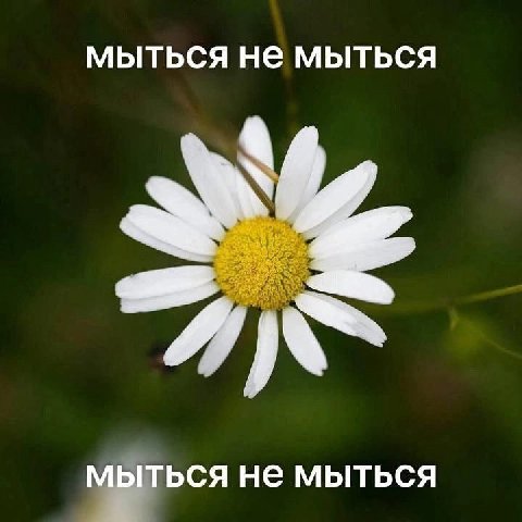 МЫТЬСЯ Не МЫТЬСЯ МЫТЬСЯ Не МЫТЬСЯ