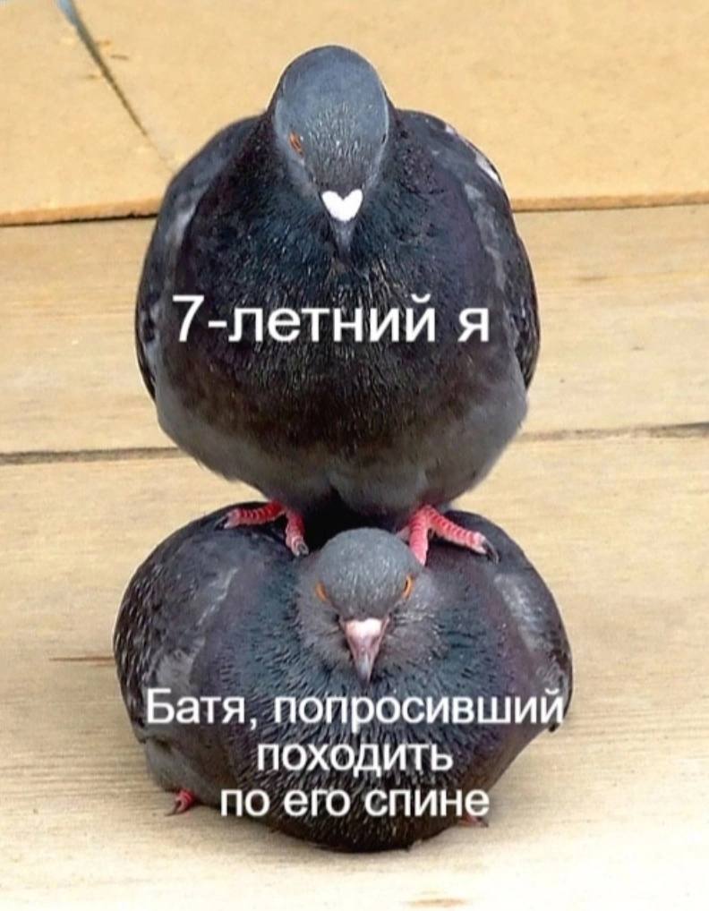 я ПОХОДИТЬ по его’спине