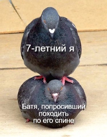 я ПОХОДИТЬ по его’спине