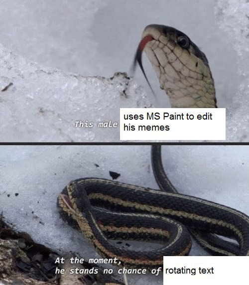 uses Paint to edit This ‘maLe his memes At the moment, he stands no chance of