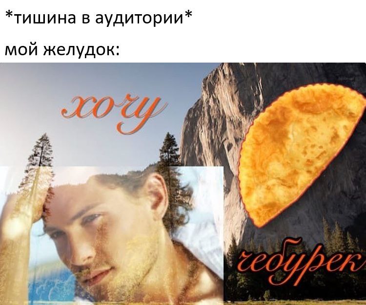 *тишина в аудитории* мой желудок: 4 4