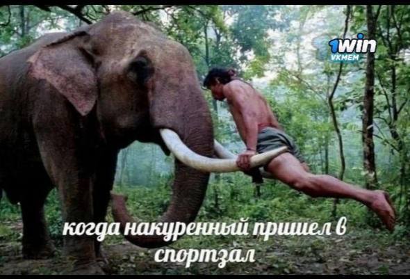 УХМЕМ когда накуренный пршиел 6 спортзал