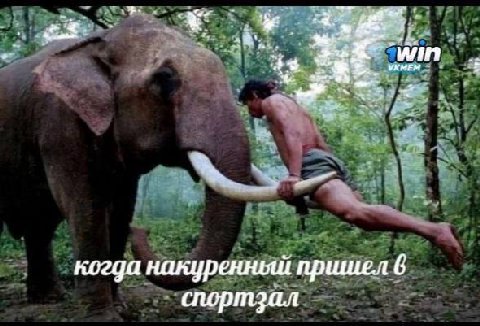 УХМЕМ когда накуренный пршиел 6 спортзал