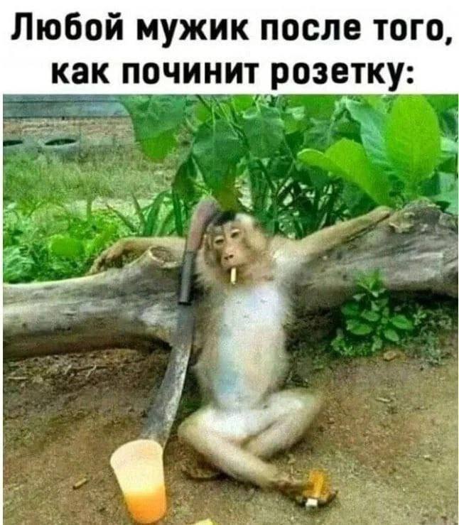 Любой мужик после того, как починит розетку: