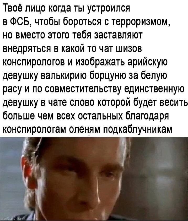Твоё лицо когда ты устроился OCB, чтобы бороться с терроризмом, но вместо этого тебя заставляют внедряться в какой то чат шизов конспирологов и изображать арийскую девушку валькирию борцуню за белую р