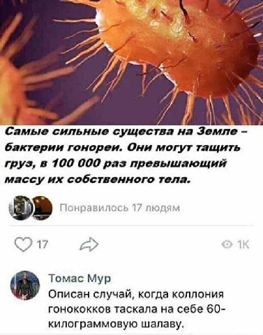 7 i\ Самые сильные существа на Земле бактерии гонореи. Они могут тащить груз, в 100 000 раз превышающий массу собственного тела. Понравилось 17 людям 17 Томас Мур Описан случай, когда коллония гонокок