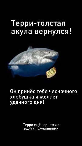 Терри-толстая акула вернулся! Он принёс тебе чесночного хлебушка и желает удачного дня! Терри ещё вернётся с едой и пожеланиями