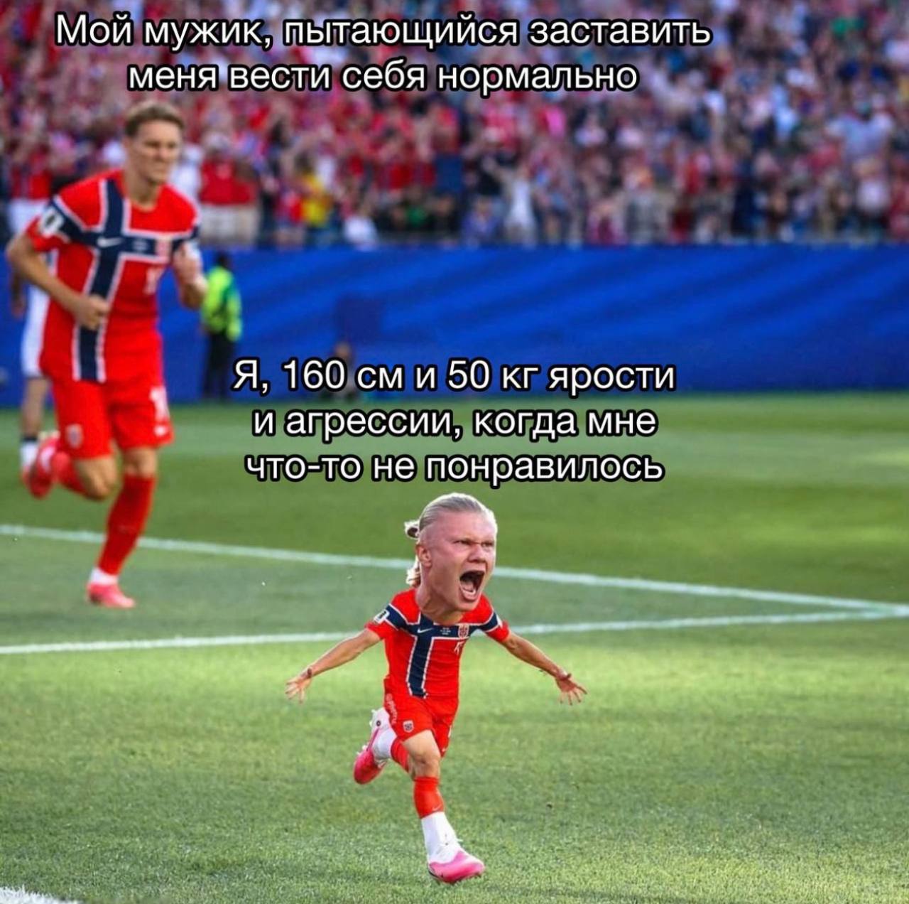 Мой мужик, пытающийся заставить меня*вести себя нормально Я, 160 и 50 ярости и агрессии, когда мне что-то не понравилось