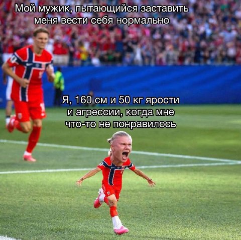 Мой мужик, пытающийся заставить меня*вести себя нормально Я, 160 и 50 ярости и агрессии, когда мне что-то не понравилось